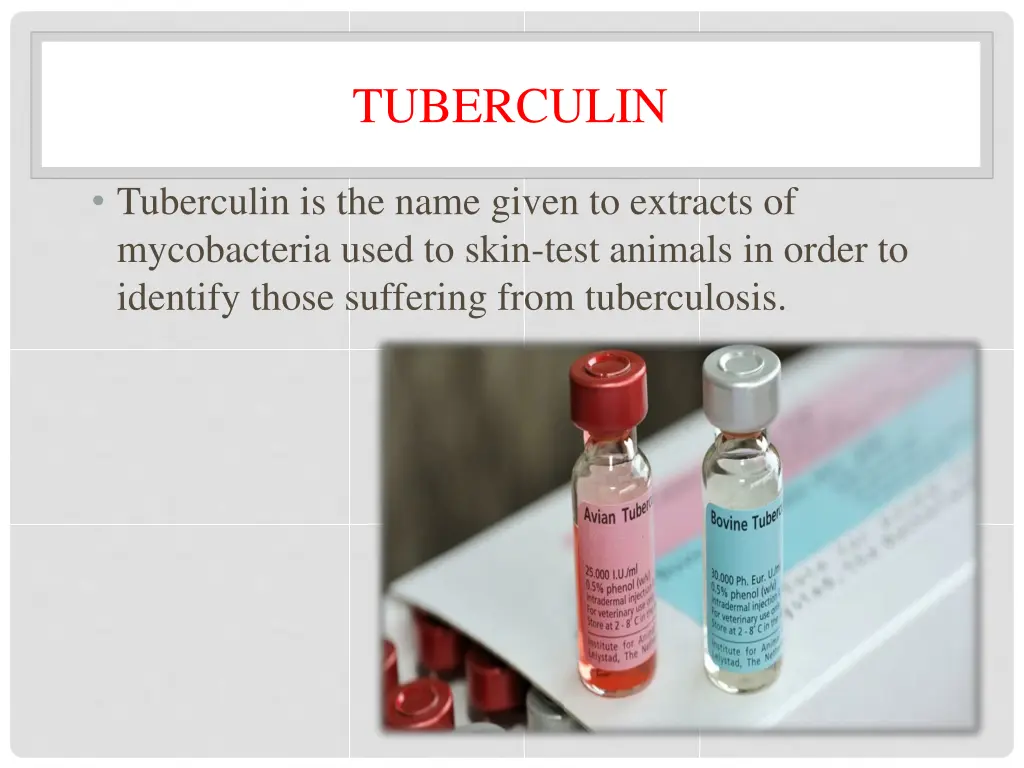 tuberculin