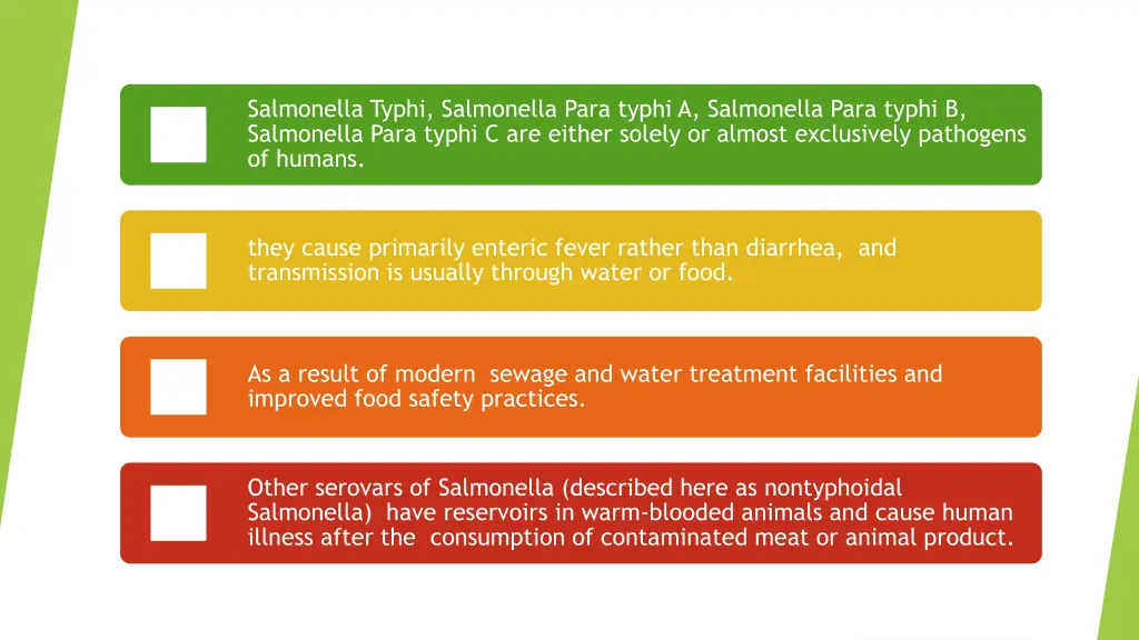 salmonella typhi salmonella para typhi
