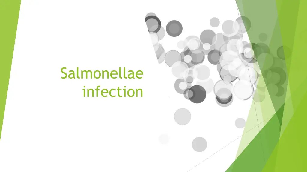 salmonellae infection