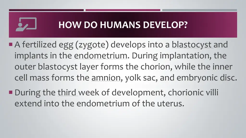 how do humans develop