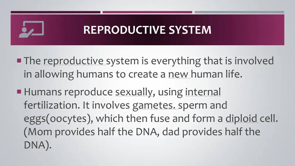 reproductive system