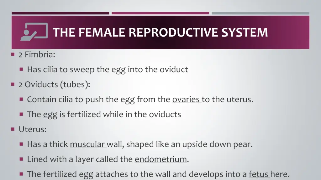 the female reproductive system 1
