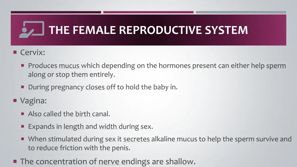 the female reproductive system 2