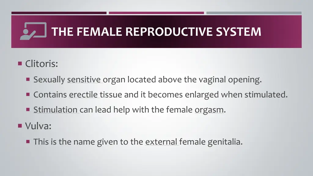 the female reproductive system 3