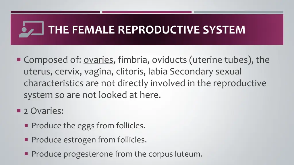 the female reproductive system