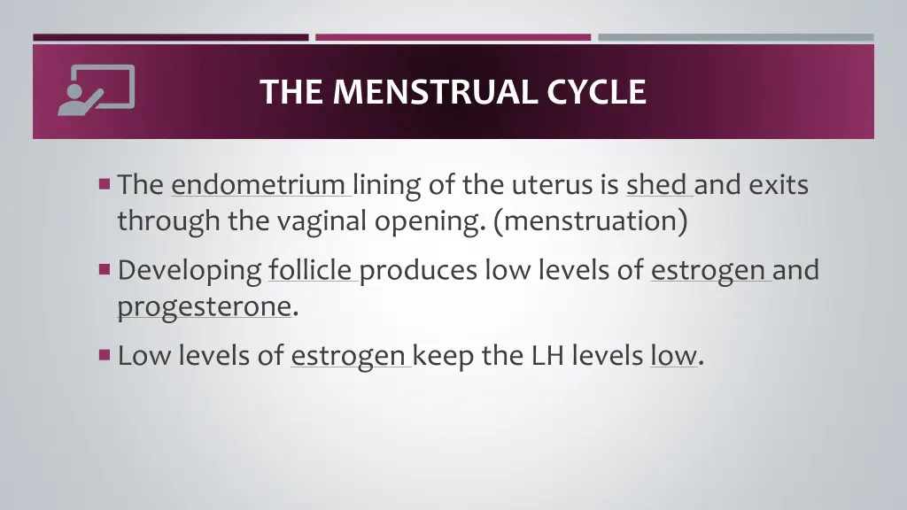 the menstrual cycle 2