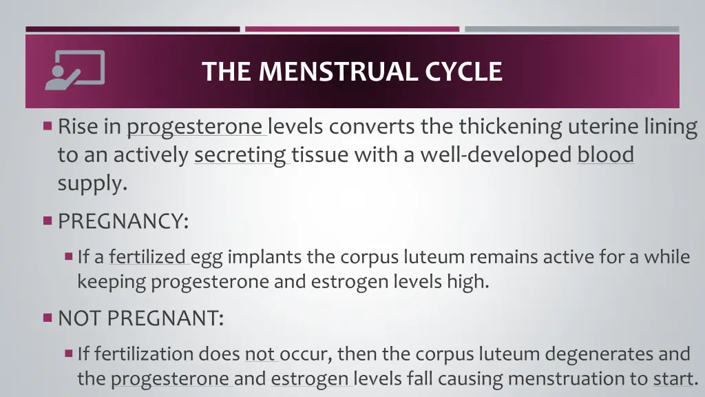 the menstrual cycle 5