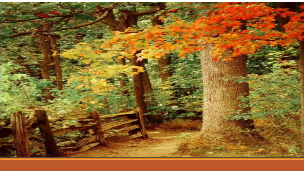 slide42