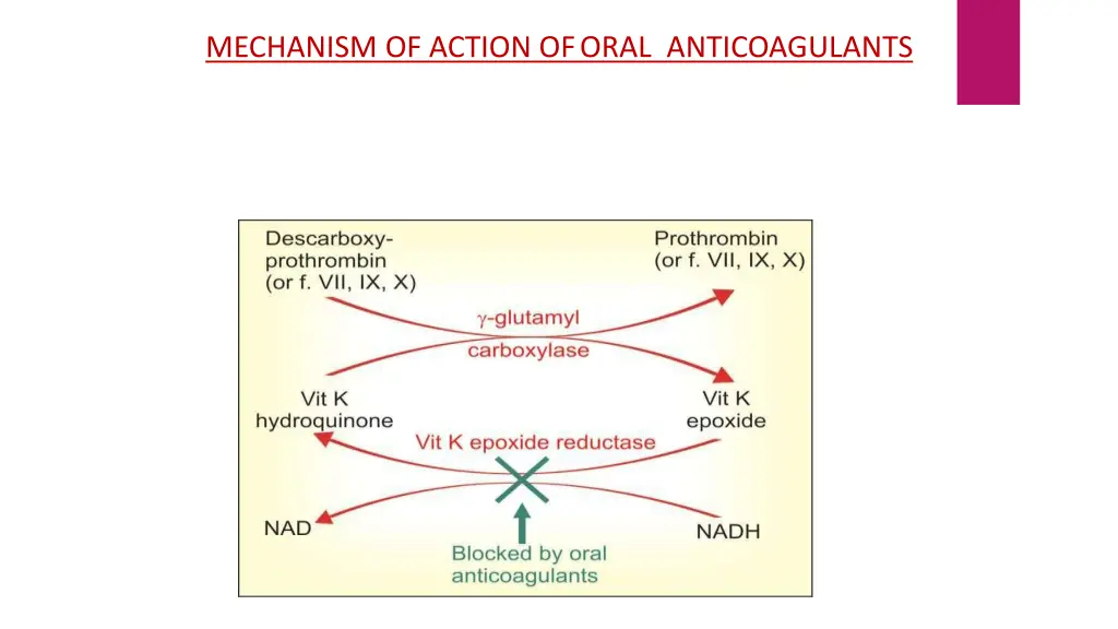 mechanism of action oforal anticoagulants