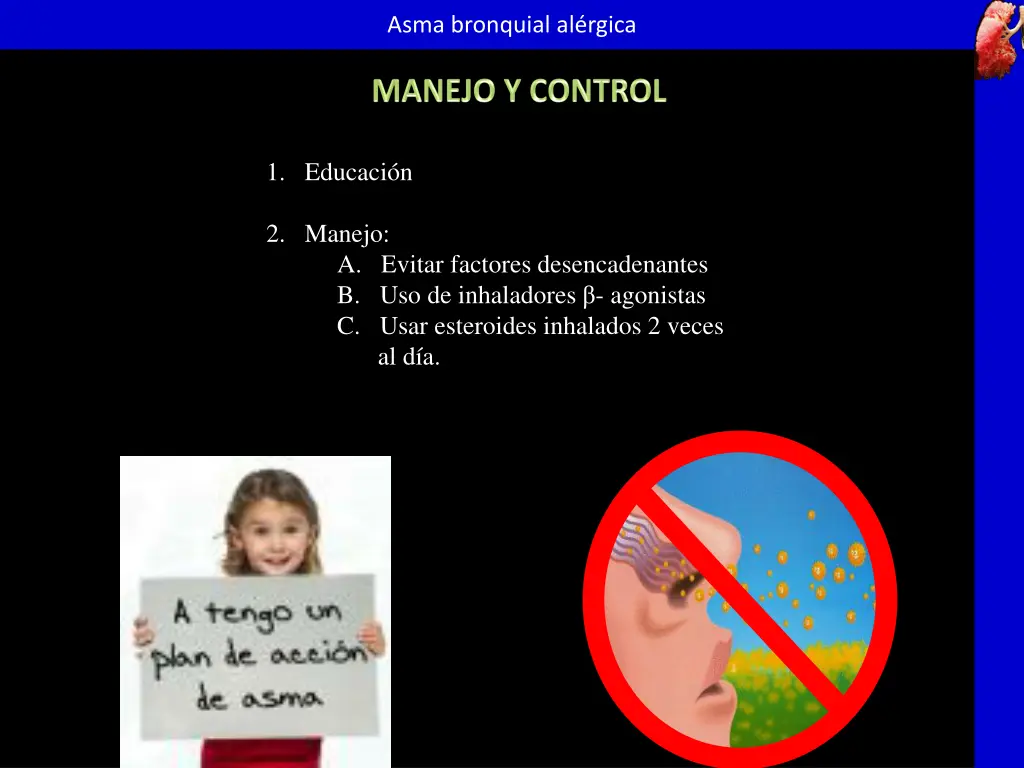 asma bronquial al rgica 12