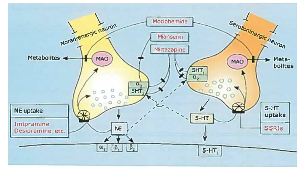 slide23