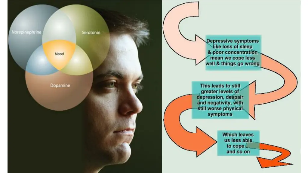 slide6
