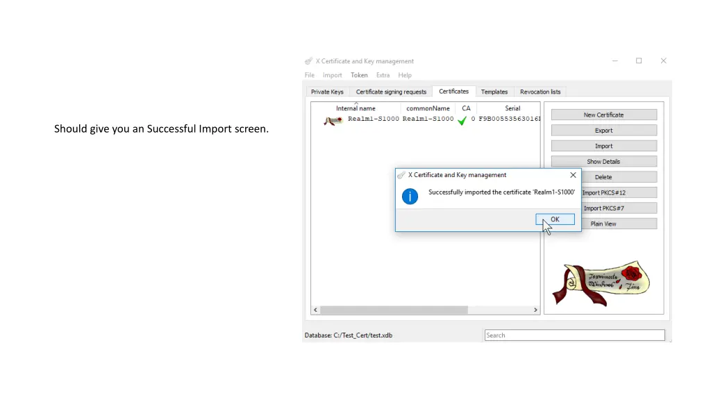 should give you an successful import screen