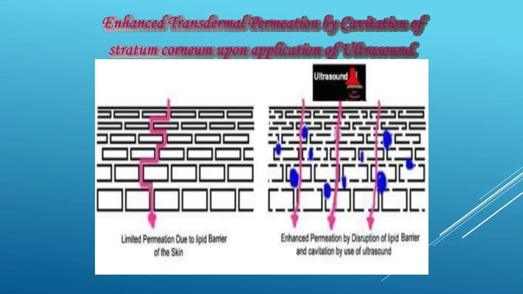 slide7