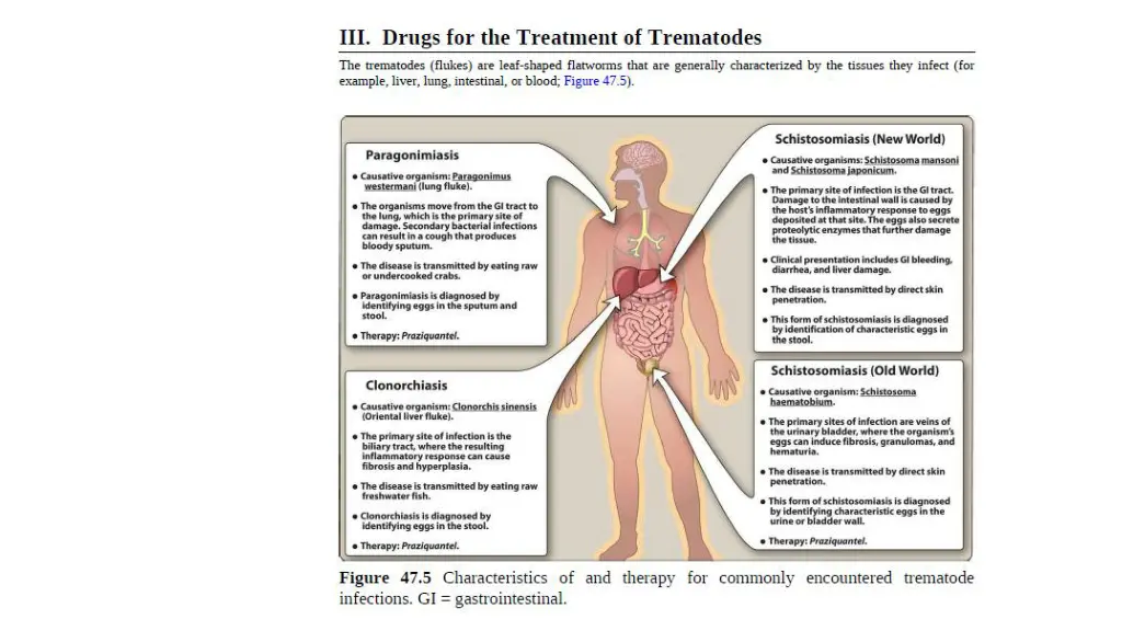 slide5