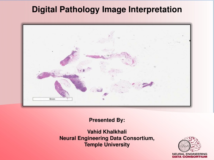 digital pathology image interpretation