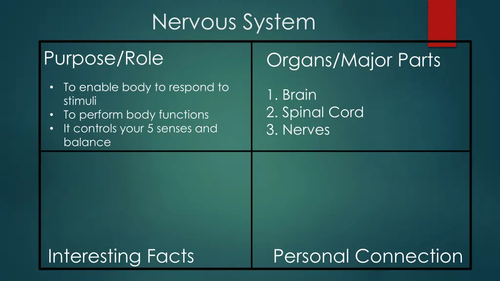 nervous system
