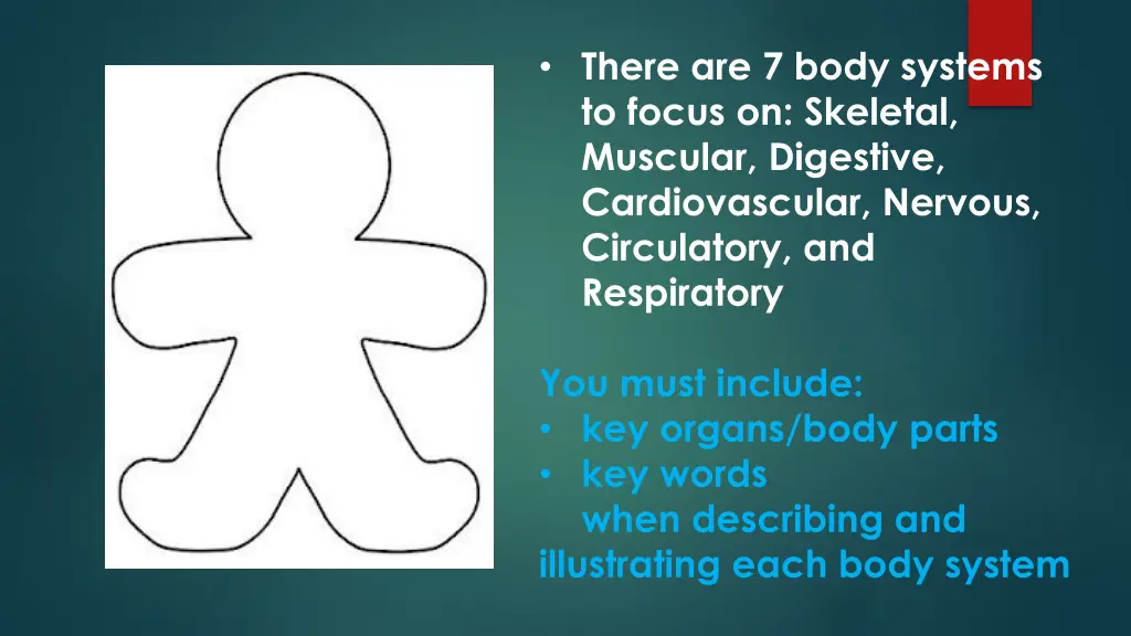there are 7 body systems to focus on skeletal