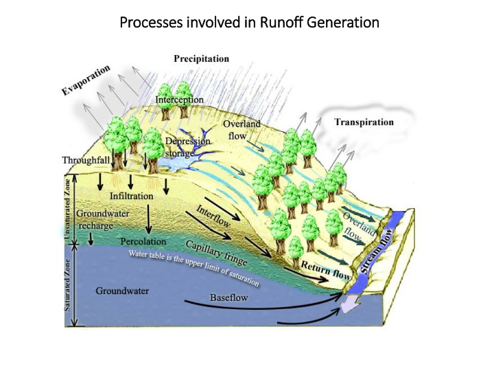 processes processes involved in runoff generation