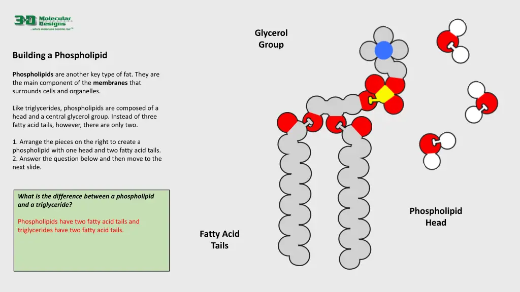 glycerol group 2