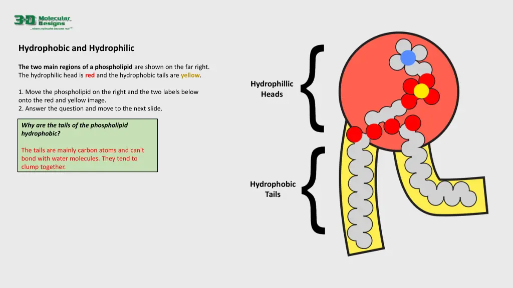 hydrophobic and hydrophilic