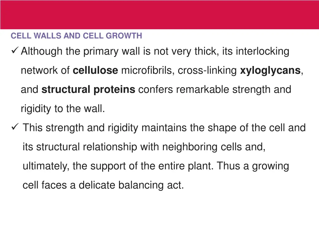 cell walls and cell growth although the primary