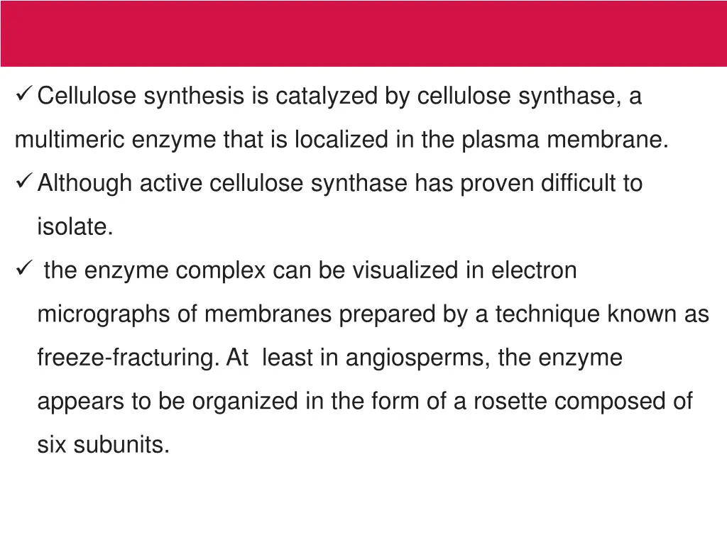 cellulose synthesis is catalyzed by cellulose 1