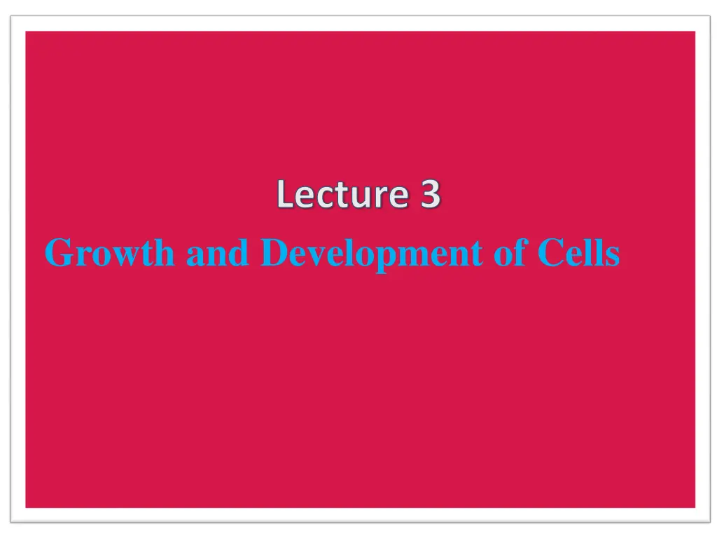 lecture 3