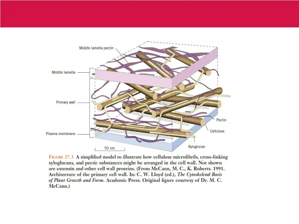 slide10