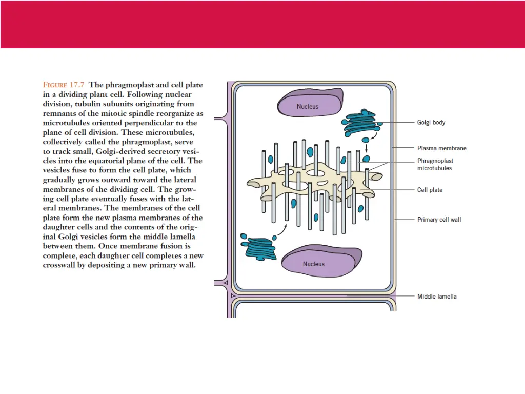 slide23