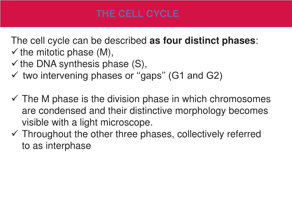 the cell cycle