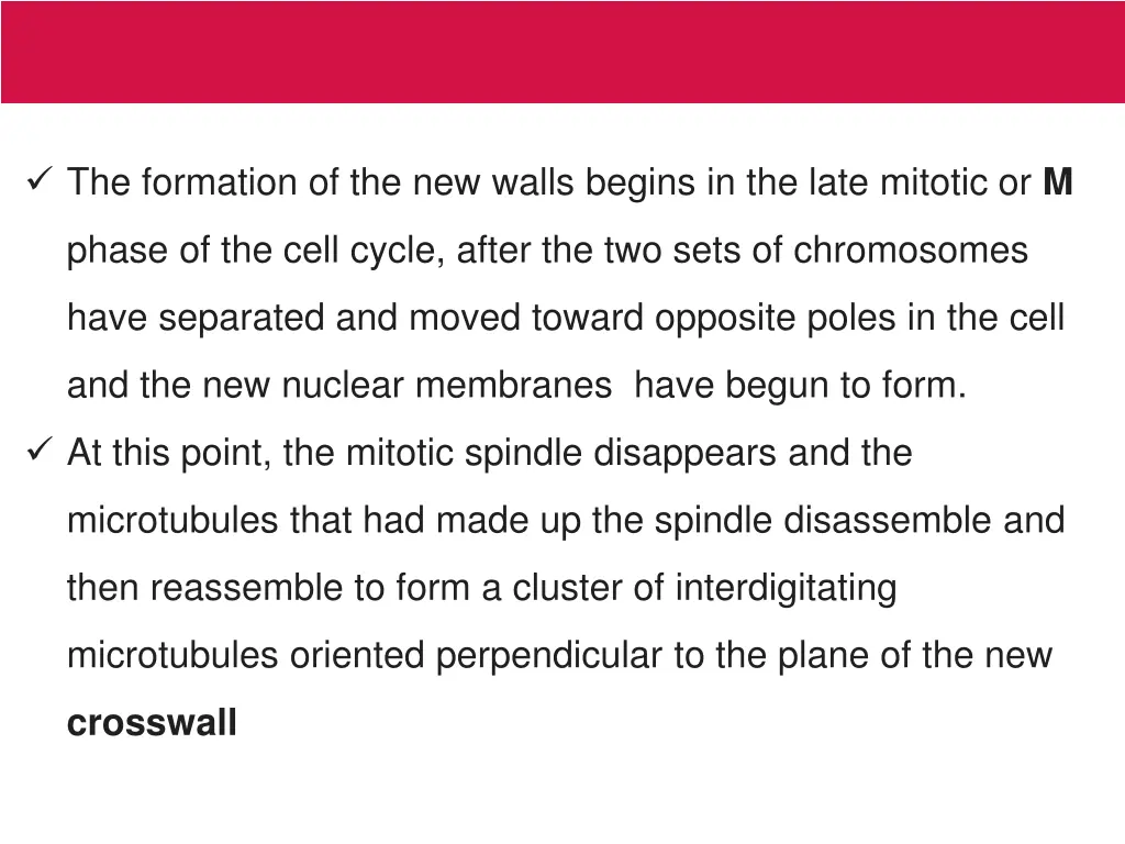 the formation of the new walls begins in the late