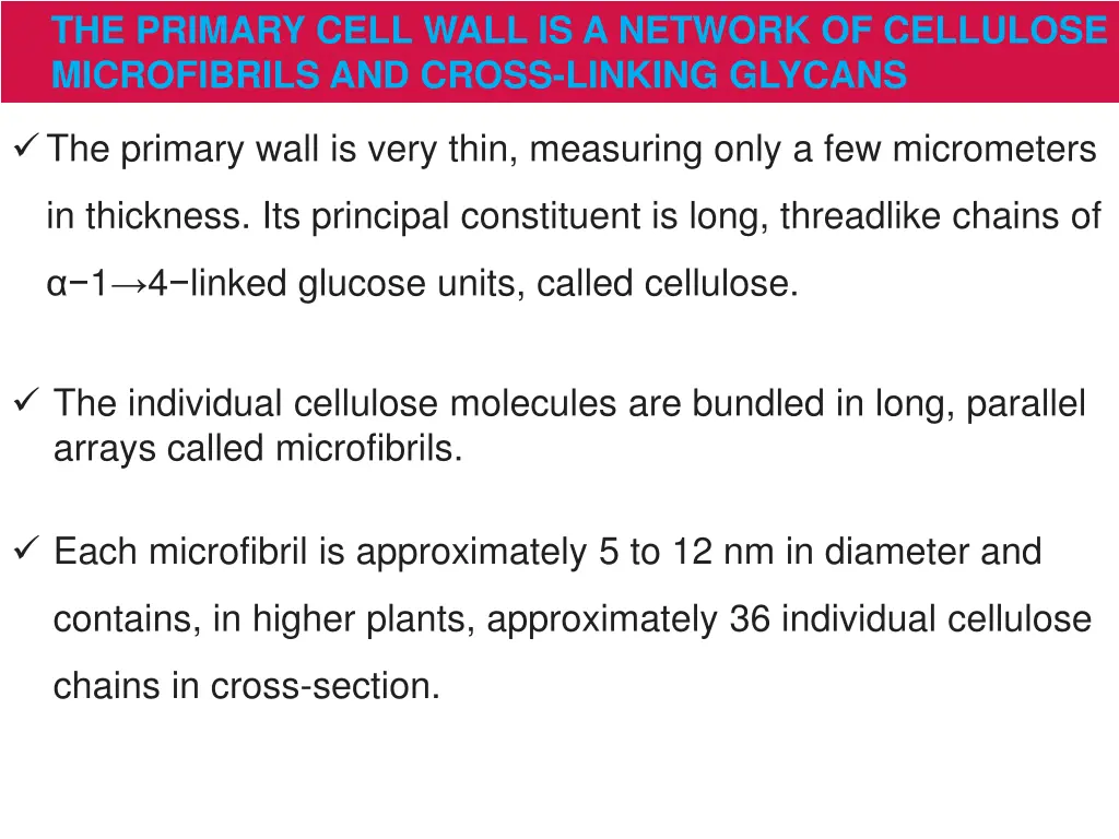 the primary cell wall is a network of cellulose