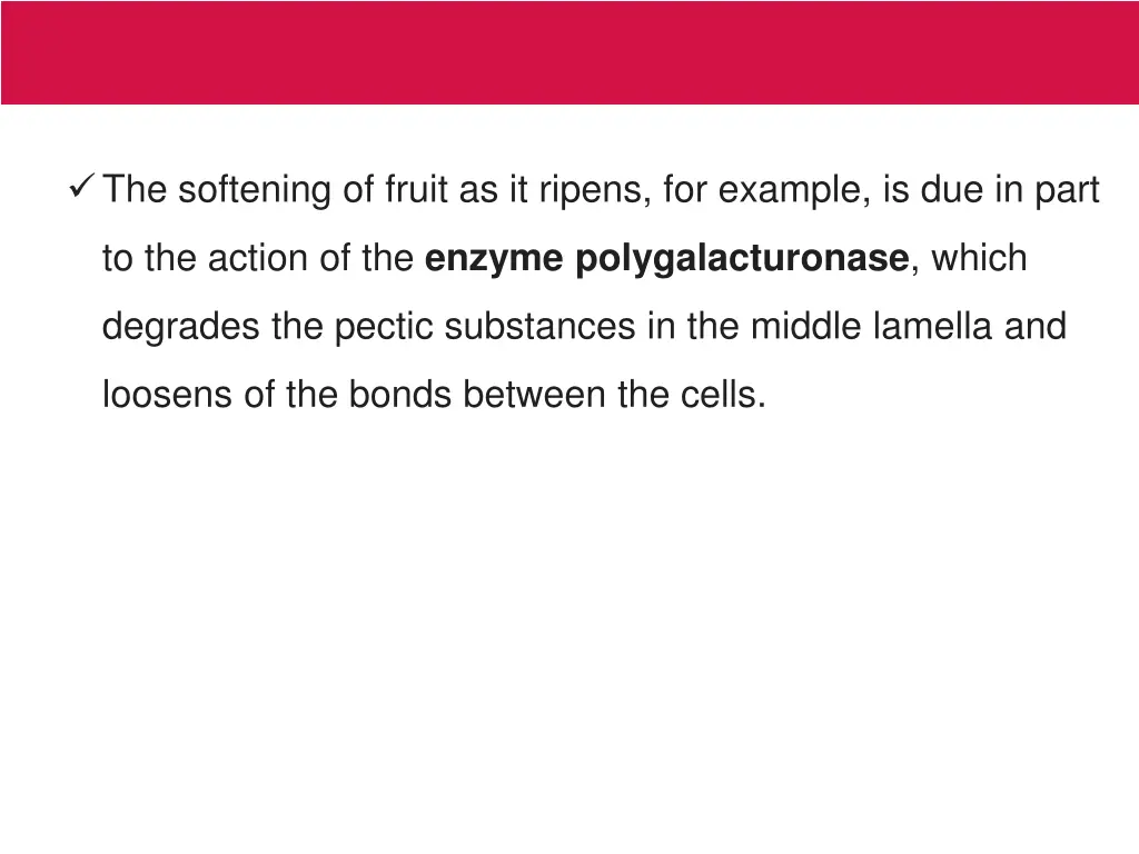 the softening of fruit as it ripens for example
