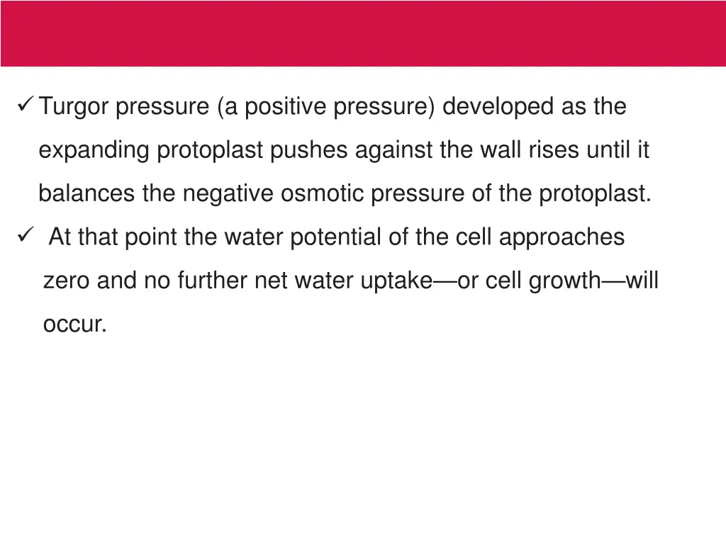 turgor pressure a positive pressure developed