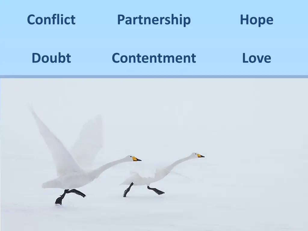 conflict