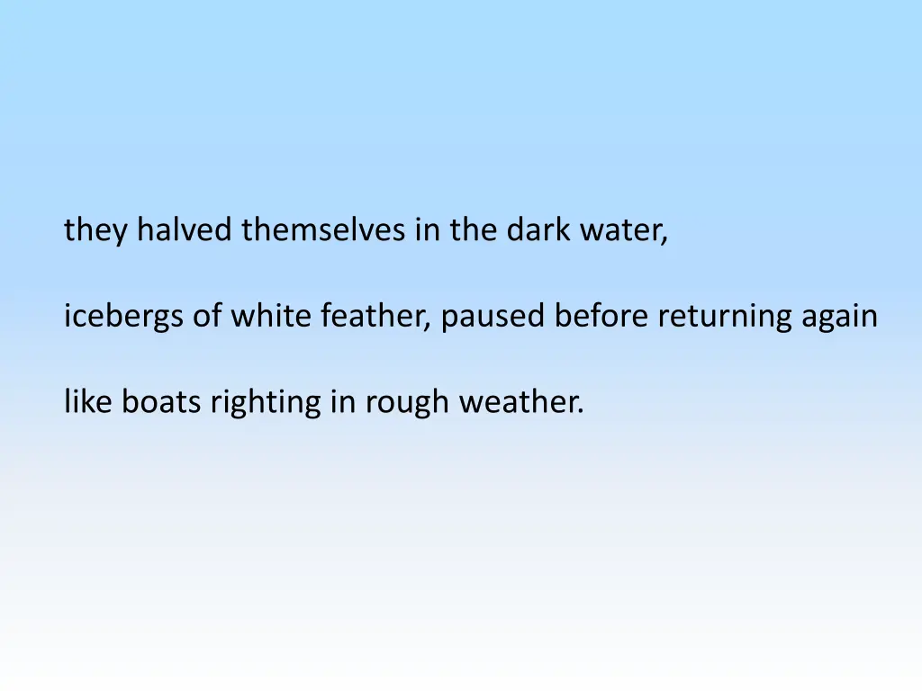 they halved themselves in the dark water