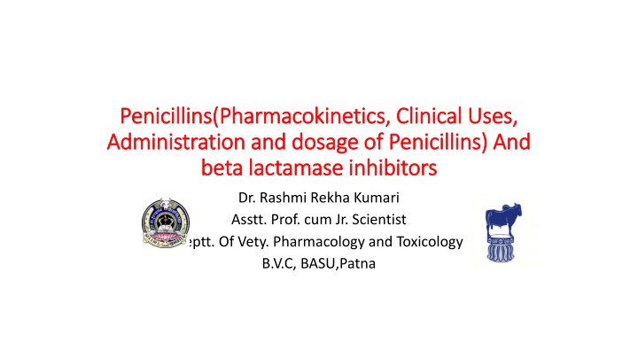 penicillins penicillins pharmacokinetics clinical