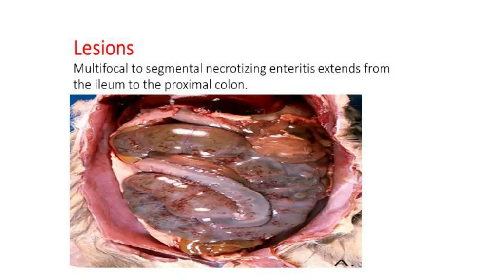 slide6