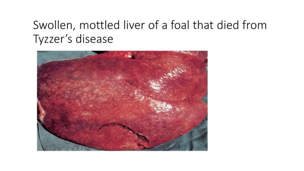 slide7