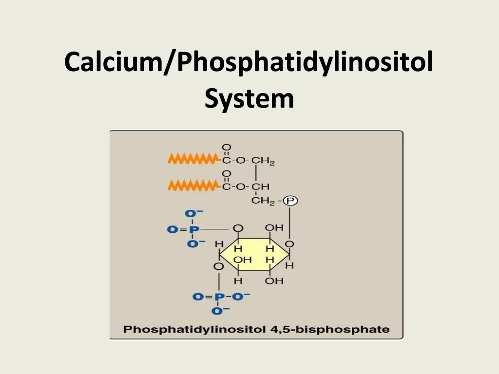 calcium phosphatidylinositol system