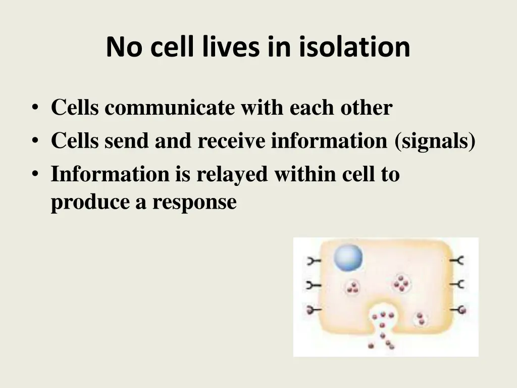 no cell lives in isolation