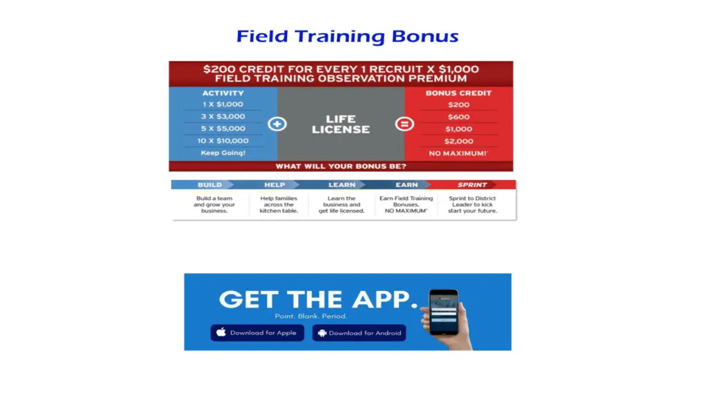 slide6