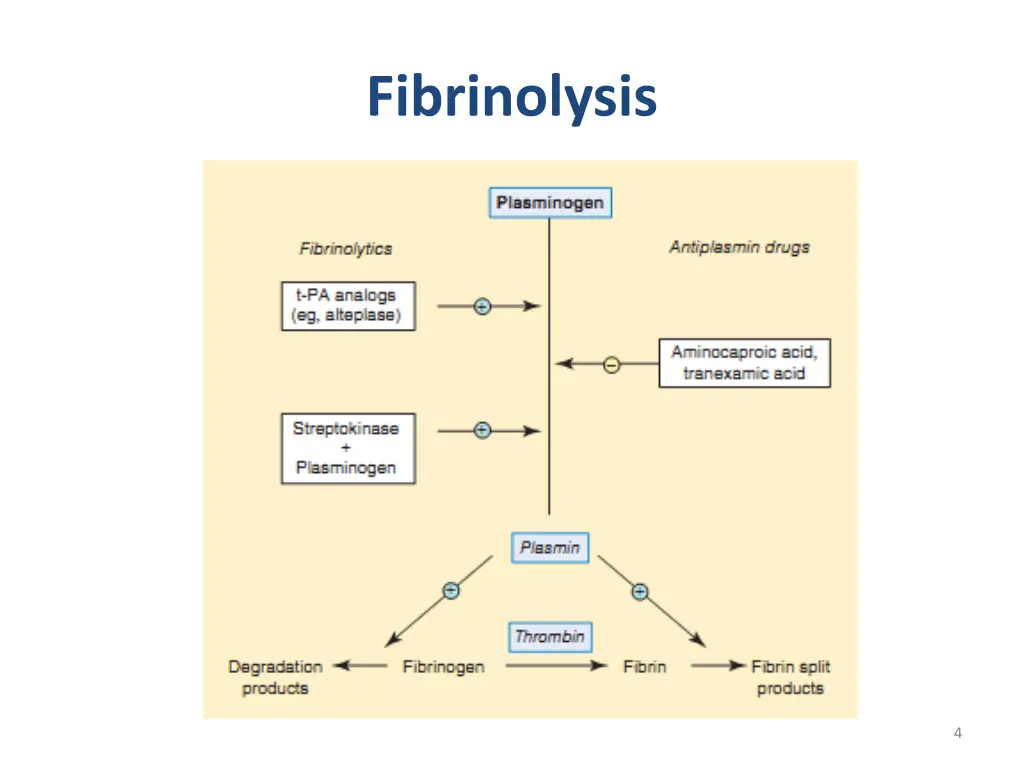 fibrinolysis
