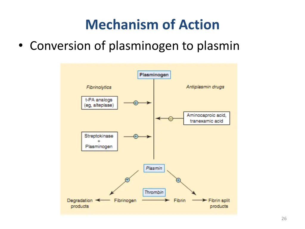 mechanism of action conversion of plasminogen