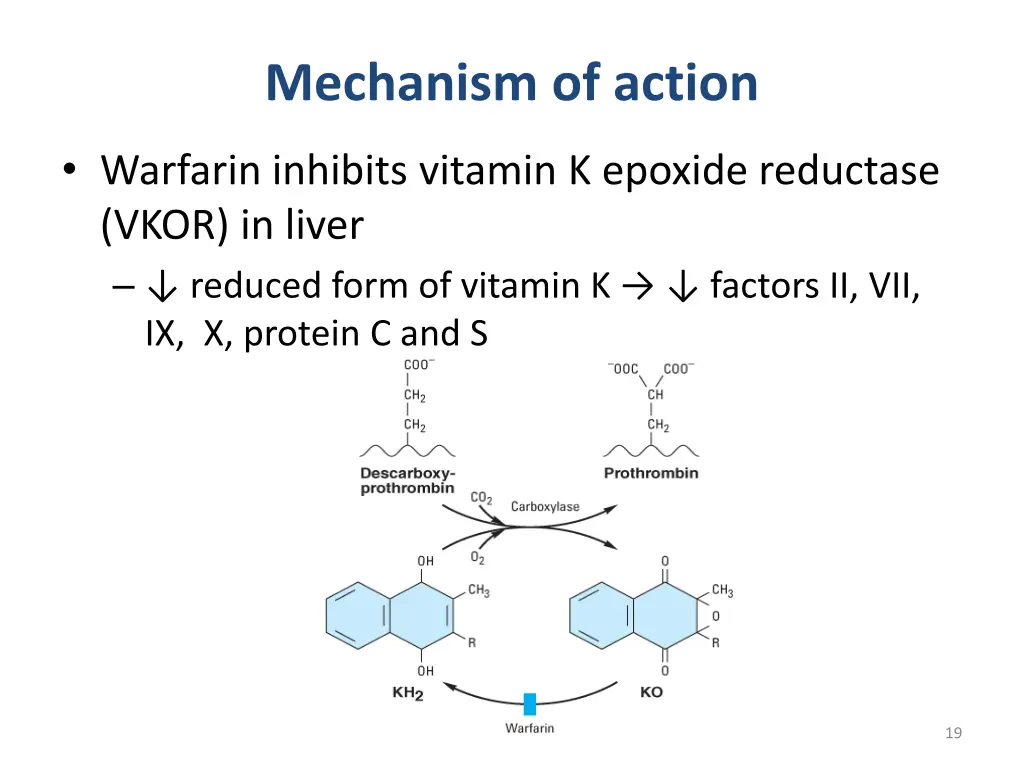 mechanism of action