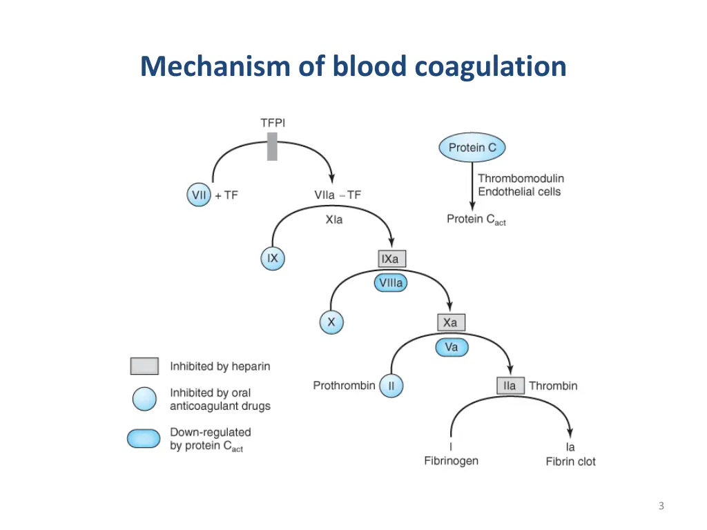 mechanism of blood coagulation 1