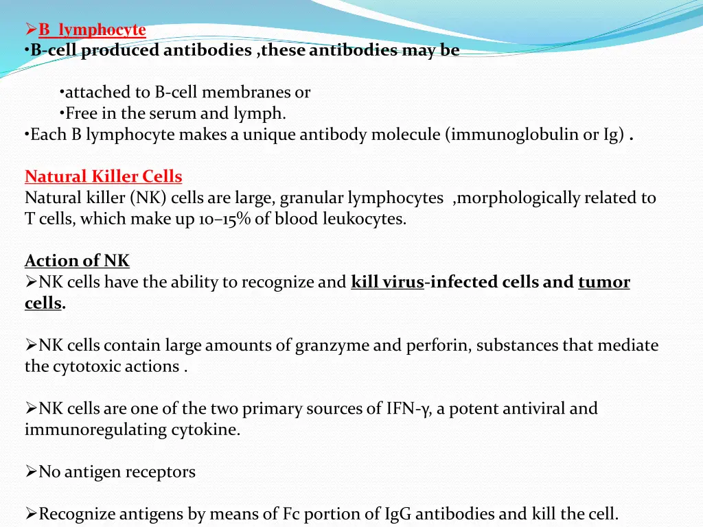 b lymphocyte b cell produced antibodies these