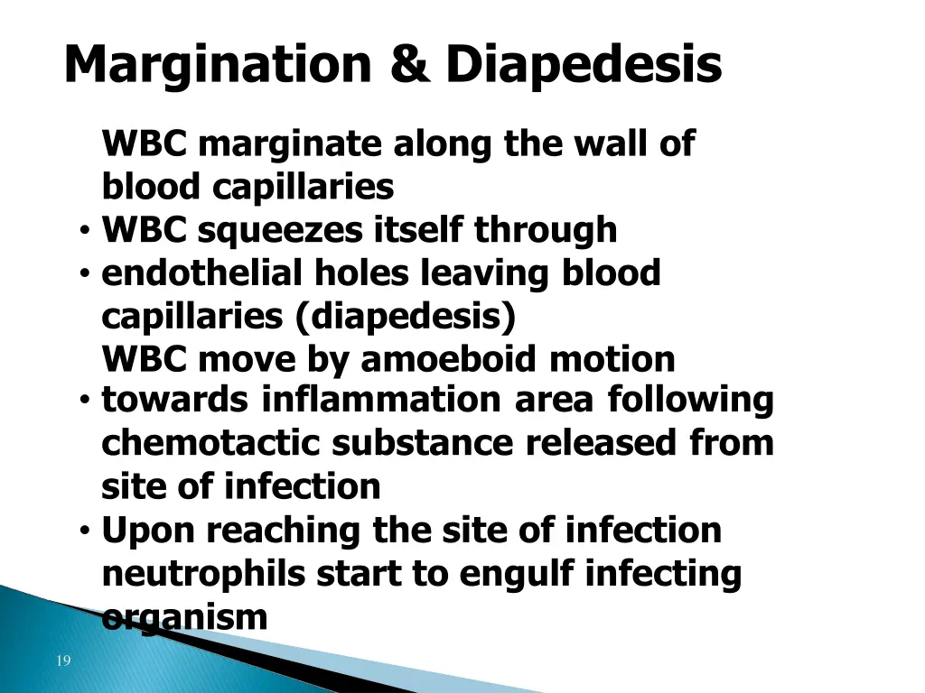 margination diapedesis