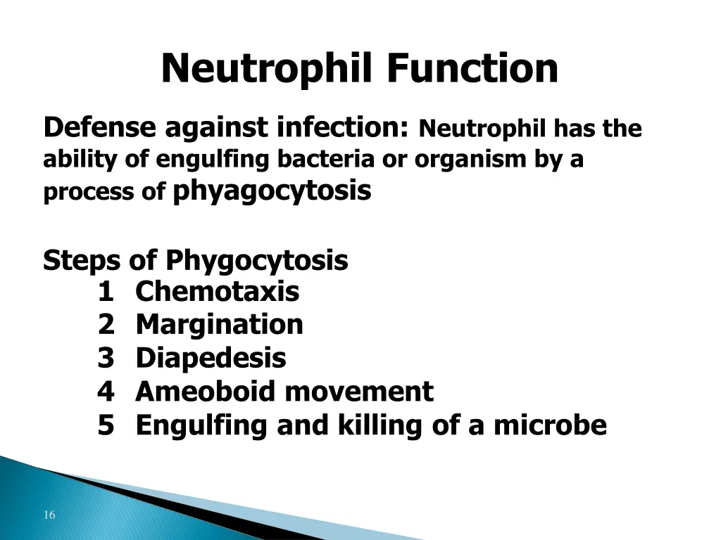 neutrophil function